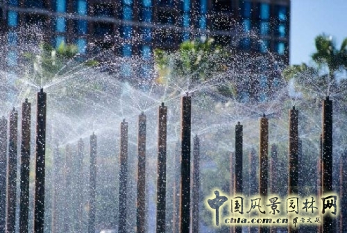 馬丁路德金景觀大道裝飾小景