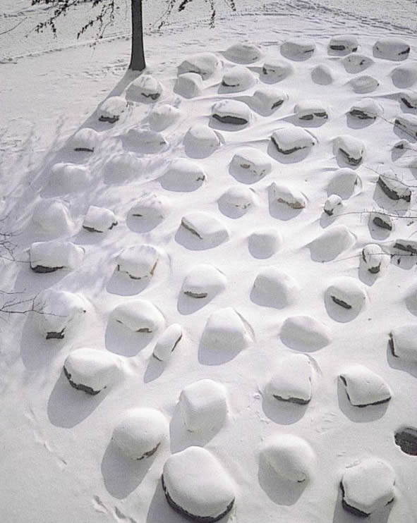 唐納噴泉冬季景觀