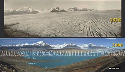 ȫ����׃���µ�ֲ��푑�(y��ng)