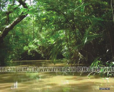 �������R�O���