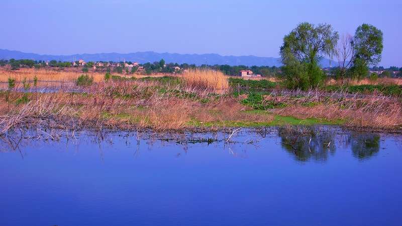 �c(di��n)���M(j��n)����һ���DƬ