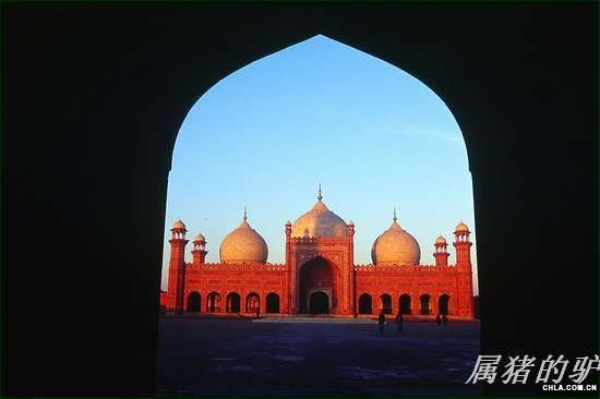 �͵���ϣ������