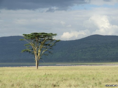 Nakuru���o�^(q��)