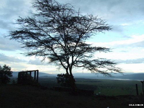 Nakuru���o�^(q��)