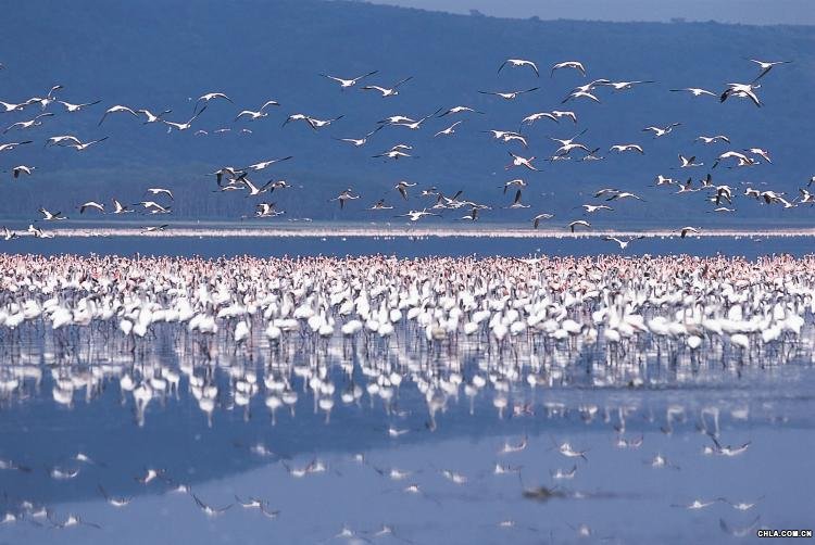 ���၆ Ұ�����������