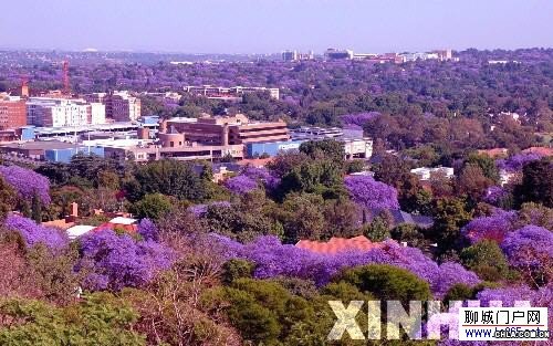 �Ϸǳ��мs����(n��i)˹��-�ʺ�֮��ʢ�_��ޱ��