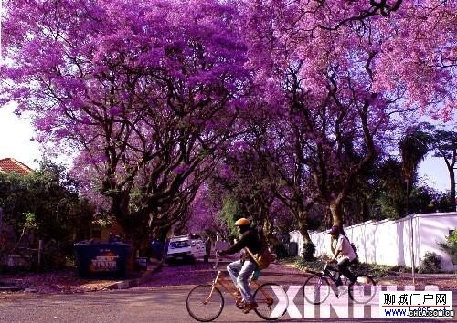 �Ϸǳ��мs����(n��i)˹��-�ʺ�֮��ʢ�_��ޱ��