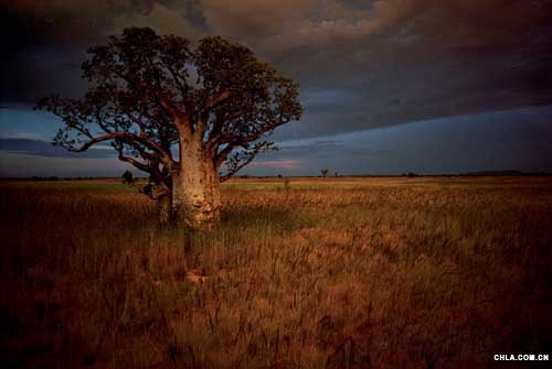 ����(n��i)�Ӡ�����������