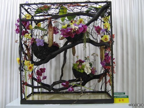 �廨\�M�����mһԺ�㡪�Ϻ�����־�|