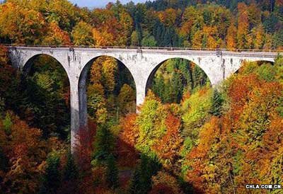 ��ʿ�l(xi��ng)���L(f��ng)��