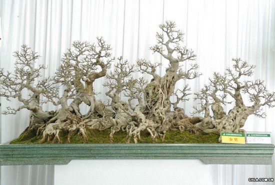 �����������-��