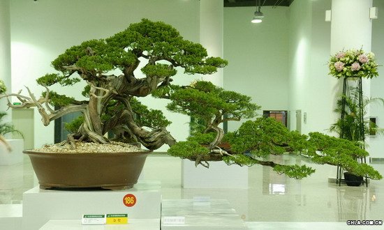 ����P������-��