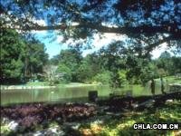 點(diǎn)擊查看大圖