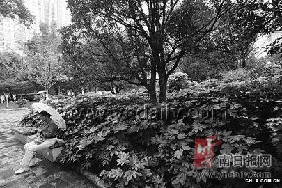 �����Ј@�־G�������L���ǅ^���󣺎����500�׃ȱ��оG�a�Έ@