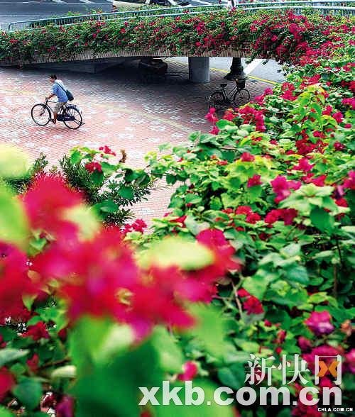 �G���V�����l�������