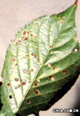 �ѻ��ְߴ��ײ�