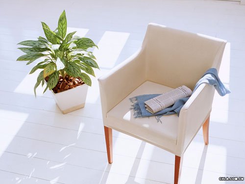 �ҾӷNֲ��Щֲ������潡��