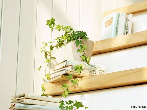 �ҾӷNֲ��Щֲ������潡��