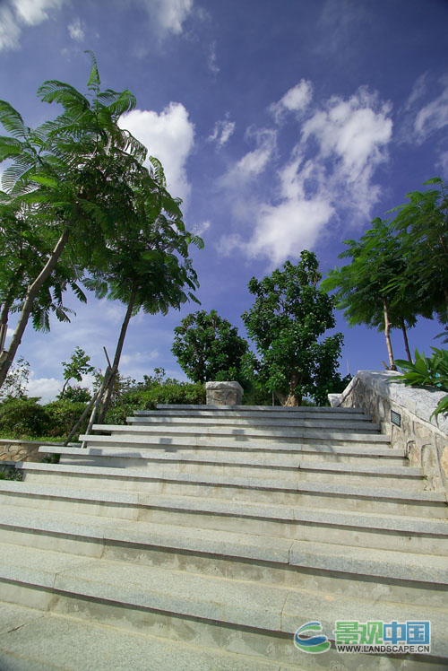 �D3����_�A