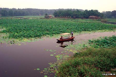 �vʷ�ϵĈA���@ˮ��2000�஀���ɻ�����Ҫ��ˮ��ֲ��