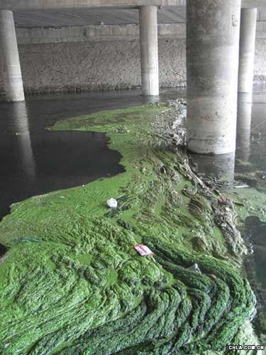 ���ݖ|�L�����S50�f�����aԴ �M�Ѕ^��Ⱦ��