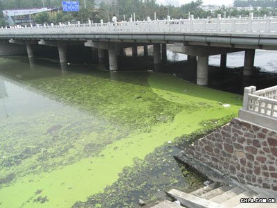 ���ݖ|�L�����S50�f�����aԴ �M�Ѕ^��Ⱦ��