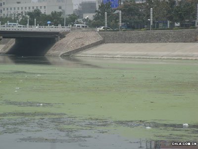 ���ݖ|�L�����S50�f�����aԴ �M�Ѕ^��Ⱦ��