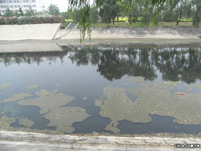 ���ݖ|�L�����S50�f�����aԴ �M�Ѕ^��Ⱦ��