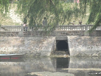 ���ݖ|�L�����S50�f�����aԴ �M�Ѕ^��Ⱦ��