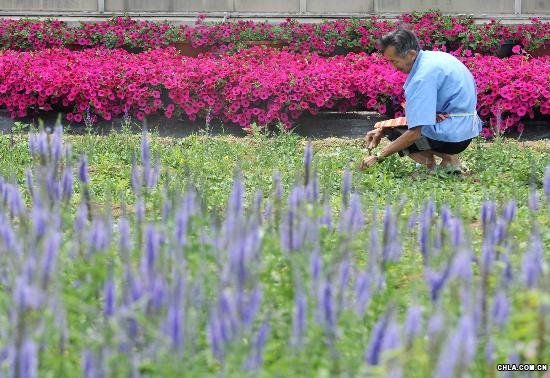 һ�����r(n��ng)�ڱ����Ј@�ֿƌW�о������������