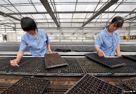 ���˼�������