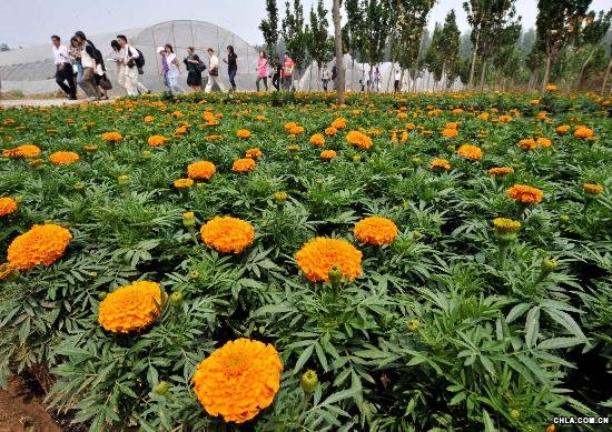 ӛ���ڱ�������x�^�wȫ�I悵ı����л�ľ���ą��^