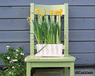 溫馨的家庭園藝1