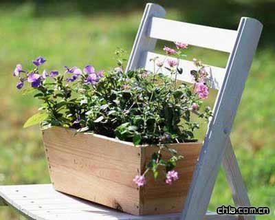 溫馨的家庭園藝5