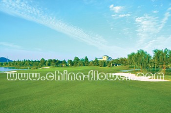 �Ϻ����R�ߠ������