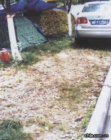 ��(j��ng)�y(t��ng)Ӌ(j��) ����^(q��)����� ��ɹ����G���ܓp��e�_(d��)120�f(w��n)ƽ����