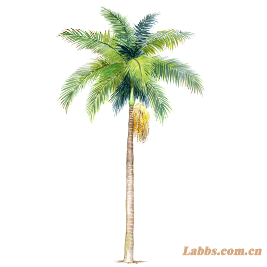 ���Lֲ��D�����ٙ���