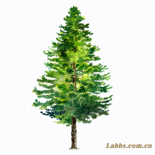 ���Lֲ�������ɼ