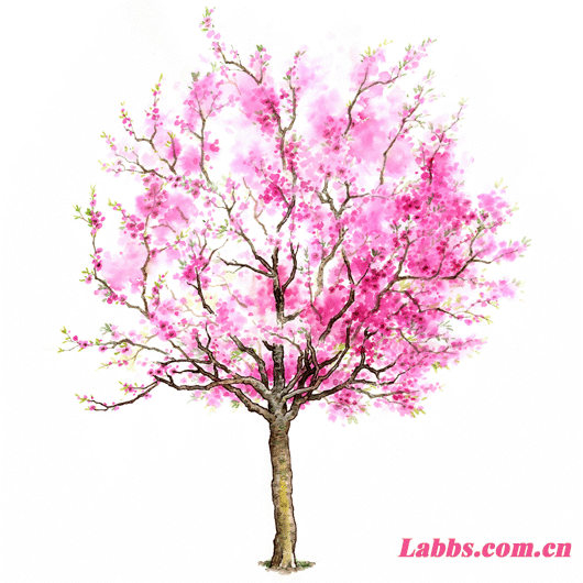 ���Lֲ��D������