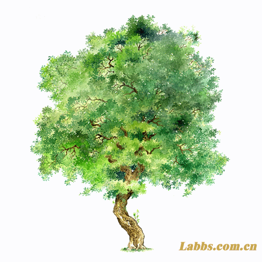 ���Lֲ��D������