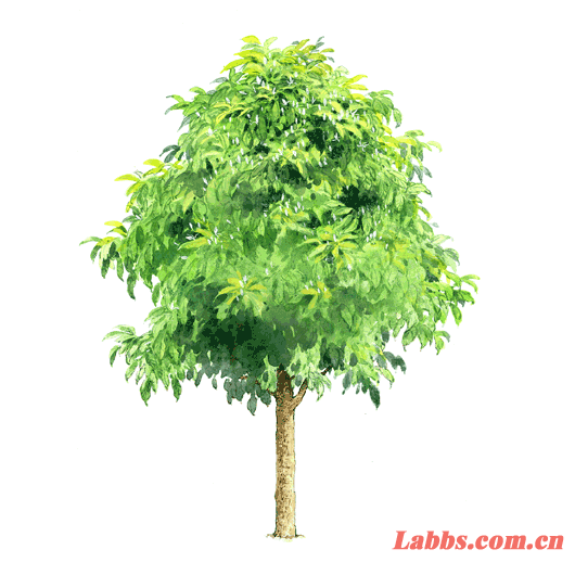 ���Lֲ��D�������m