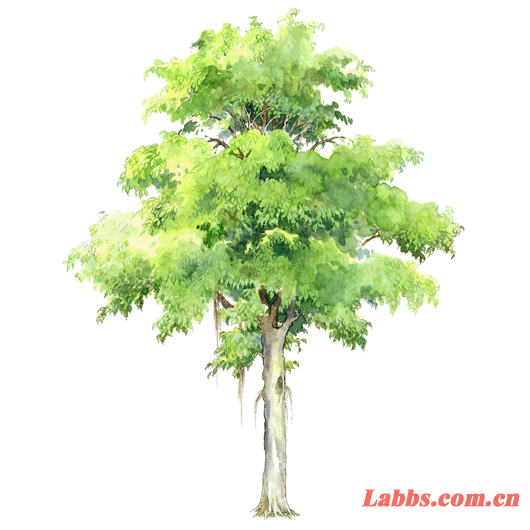 ���Lֲ��D�������~��