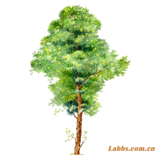 ���Lֲ��D�������~��