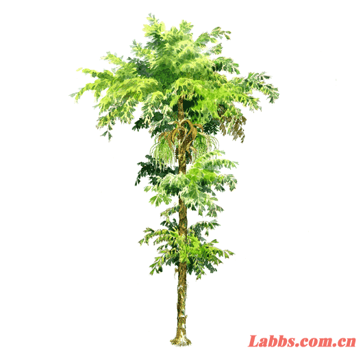 ���Lֲ��D���������~β��