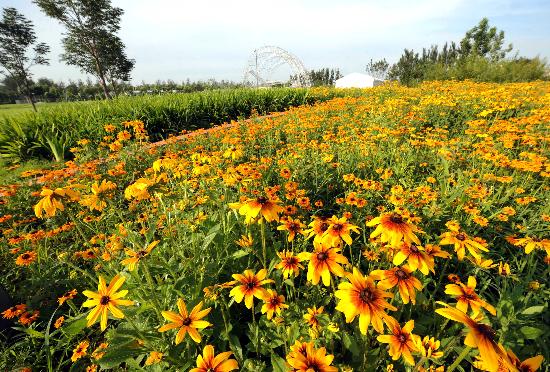 �D��-�W�\����֮����ӭ�W�\ ������С�ݡ�������̎