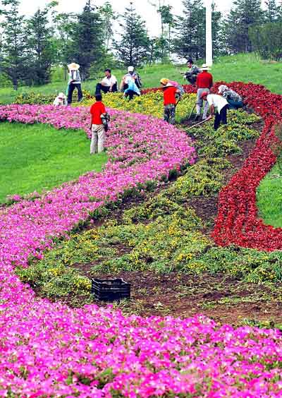 �D�ģ���ꖊW�\�Շ��� �G�����˔[�Ÿ�ɫ����