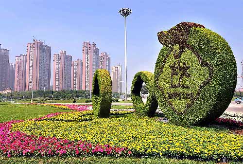 �D�ģ����(y��ng)�W�\(y��n)�Շ��� �W�\(y��n)���ܸ�����Ŀ