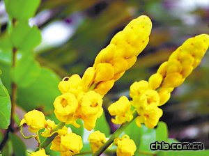 ���v�Q��