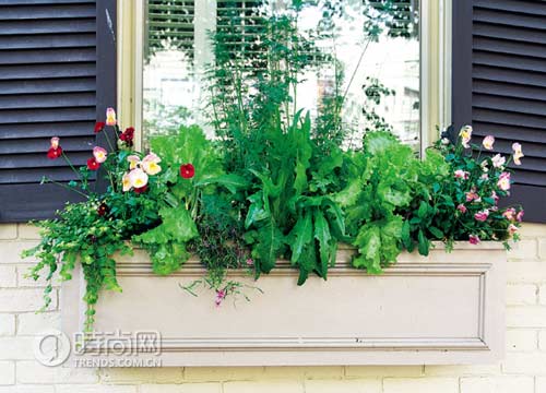 ���_���@