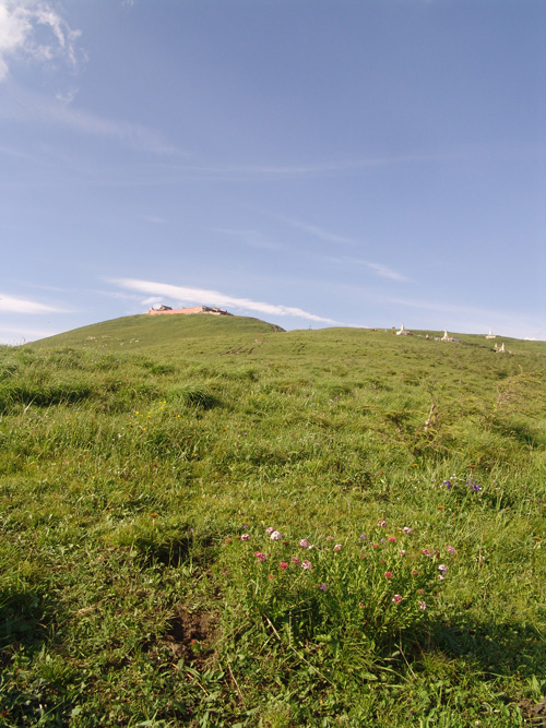 �c������D